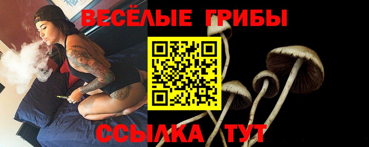 Галлюциногенные грибы прущие грибы Обнинск