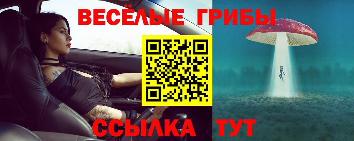 где купить наркотик  Вход с VPN  Псилоцибиновые грибы GOLDEN TEACHER  Обнинск  Галлюциногенные грибы мухоморы 